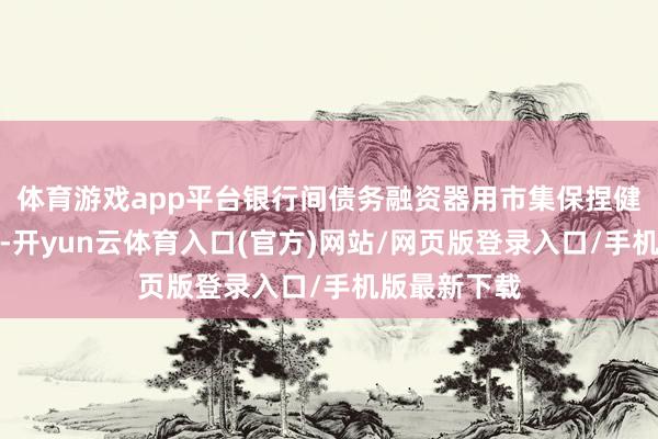 体育游戏app平台银行间债务融资器用市集保捏健康快速发展-开yun云体育入口(官方)网站/网页版登录入口/手机版最新下载